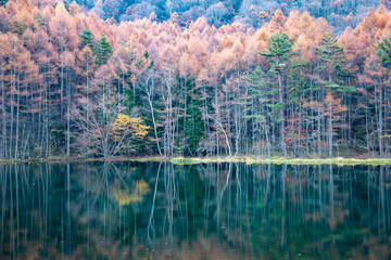 秋の八ヶ岳　絶景の御射鹿池　
