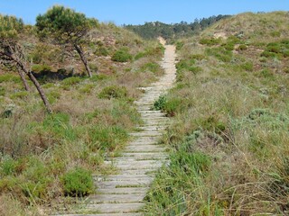 Dunes and Concha Bay in Sao Martinho do Porto, Centro - Portugal