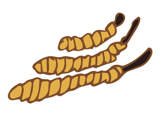 Cordyceps logo. Medical mushroom cordyceps military for medical nutrition