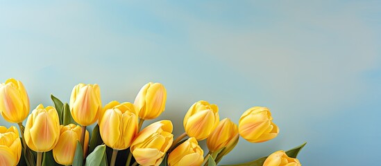 On a beautiful blue background delicate yellow tulips bloom symbolizing the beauty of nature Sending this card with a heartfelt message expressing my gratitude and friendship serves as a rem