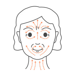 Anti-age face lifting massage technique for rejuvenation and radiant look. Facial routine to reduce fine lines and wrinkles. Beauty and wellbeing concept. Vector linear illustration.
