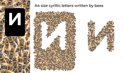 A4 size cyrillic letter written by bees