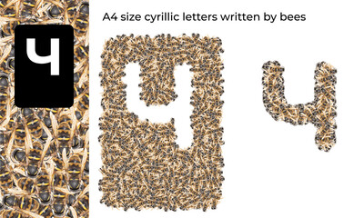 A4 size cyrillic letter written by bees