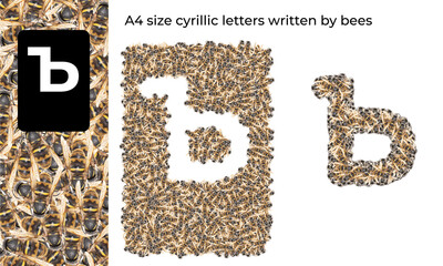 A4 size cyrillic letter written by bees