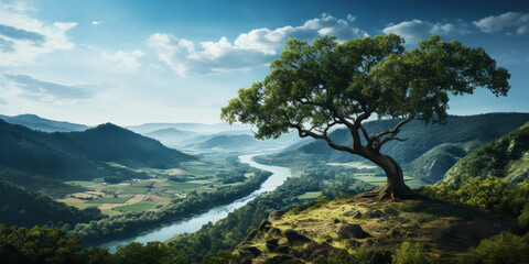 Fototapeta na wymiar Mountaintop tree with a panoramic river view