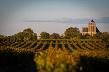 Selbstklebende Fototapeten France, Charente-Martime, Lonzac Church,in Cognac Vineyards, Petite Champagne, High quality photo © FreeProd