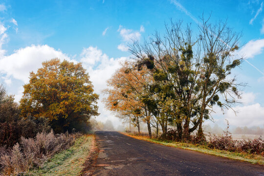 old road through countryside in autumn. foggy weather with clouds on a bright blue sky