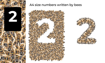 A4 size number writter by bees