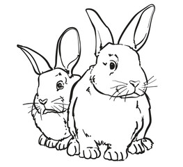 hand drawn bunny rabbit vector illustration
