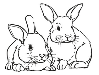 hand drawn bunny rabbit vector illustration