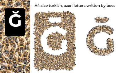 A4 size turkish and azerbaijani letter written by bees