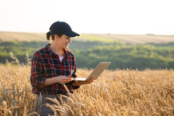 Woman farmer working with laptop on wheat field. Smart farming and digital agriculture