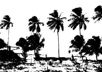 Summer Palm Tree Beach Background