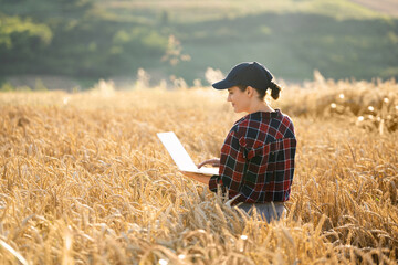 Naklejka na ściany i meble Woman farmer working with laptop on wheat field. Smart farming and digital agriculture..