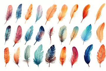 Fotobehang watercolor feather illustration, collection of colorful watercolor feathers. generative ai © KBL Sungkid