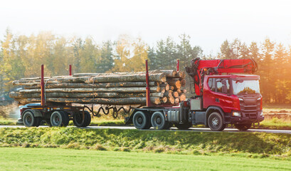 Fototapeta na wymiar Loaded Timber Truck with Manipulator: Forest Transportation Concept. Heavy-Duty Truck with Lumber Loader: Logging and Timber Transport