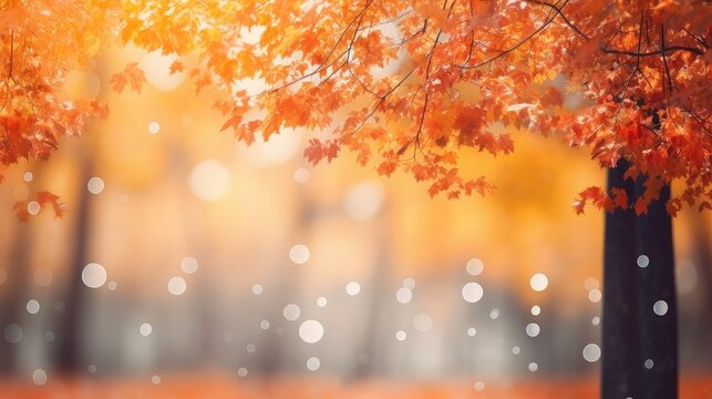 forest tree bokeh vibrant captivating illustration park environment, fall season, foliage sunny forest tree bokeh vibrant captivating