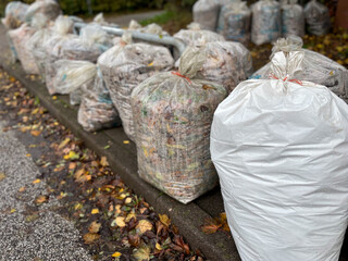 Plastic trash bin bags with fallen tree leaves organic waste on a city street of Hamburg in autumn time
