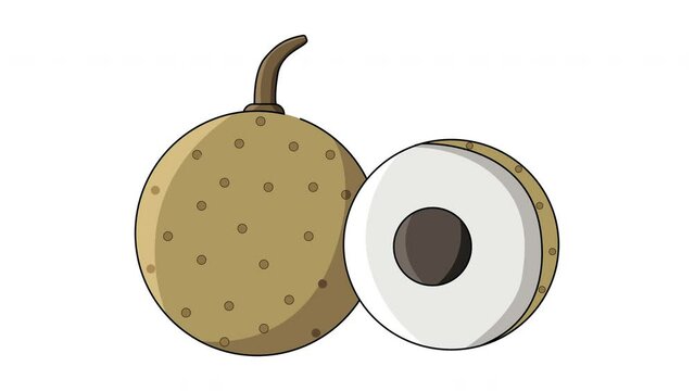 Animation forms a longan fruit icon