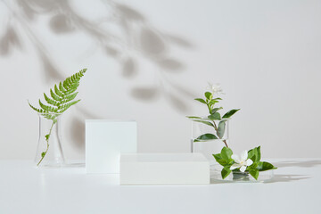 Against white background, two blank podiums displayed with laboratory glassware of green leaves....