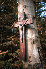 Krzyż na drzewie - obrazy, fototapety, plakaty