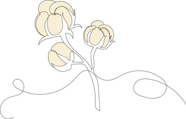 cotton line drawing, outline, vector