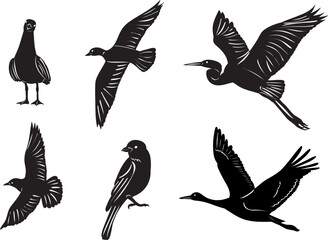 silhouette of birds of different breeds set vector - obrazy, fototapety, plakaty