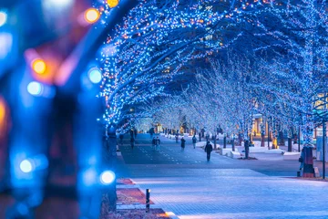 Zelfklevend Fotobehang みなとみらいグランモール公園のイルミネーション【神奈川県・横浜市】　 Illumination of Yokohama Minato Mirai - Kanagawa, Japan © Naokita