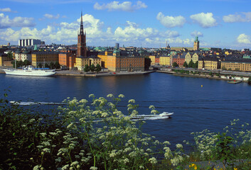 Obraz premium ZUP-732231