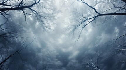 trees forest icy cloud icy illustration environment beautiful, sunny season, background abstract trees forest icy cloud icy