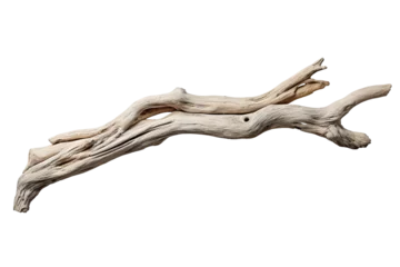 Foto op Canvas A weathered driftwood, transparent background, isolated image, generative AI © heriyusuf