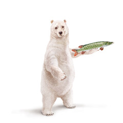 un ours polaire qui tiens un poisson brochet  dans la main