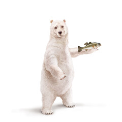 un ours polaire qui tiens un poisson  black basse dans la main