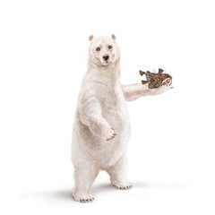 un ours polaire qui tiens un poisson lotte  dans la main