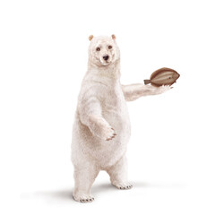 un ours polaire qui tiens un poisson limande   dans la main