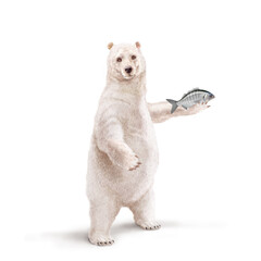 un ours polaire qui tiens un poisson  marbré  dans la main