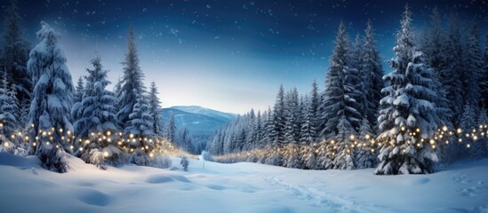 In the winter landscape the mesmerizing white snow blankets the ground and contrasts with the vibrant blue sky creating a stunning background as you travel through the picturesque forest of 