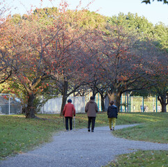 秋の住宅街の公園で散歩しているシニア女性たちの姿