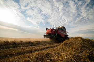 Harvester working in wheatfield at sunset.