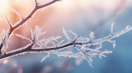 cold frozen view branch winter illustration morning background, tree landscape, forest season cold frozen view branch winter - obrazy, fototapety, plakaty