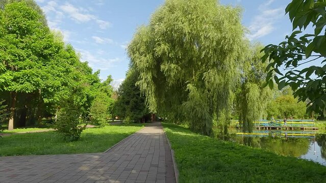 Fresh green scene on the shore of Seret river. Colorful morning view of Topilche Park empty alley, Ternopil, Ukraine. Beauty of nature concept background. 4K video (Ultra High Definition).