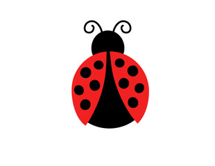 Obraz premium Ladybug