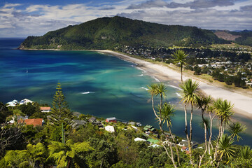 Fototapeta premium ZUP-733576