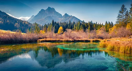 Poster Calm autumn scene of Julian Alps with Kranjska Gora peak on background. Majestic morning view of Zelenci nature reserve, Slovenia, Europe. Beauty of nature concept background. © Andrew Mayovskyy