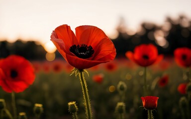 Stylized Red Poppy on Black Remembrance Day Symbol ai generated