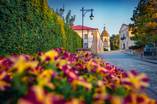 Blooming red flowers on the yard of Basilian Monastery of Jasna Gora. Empty street on Hoshiv town, Ivano-Frankivsk region, Ukraine, Europe. Traveling concept background.