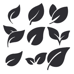 illustration of an leaf icon