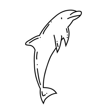Hand drawn of dolphin, vector illustration art.