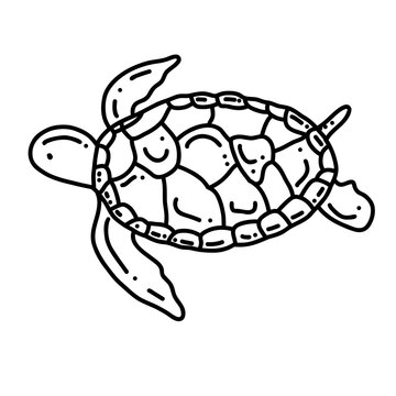 Hand drawn of turtle, vector illustration art.