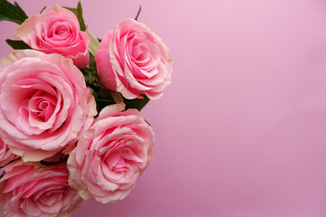 Beautiful pink roses arrangement on pink background. Roses composition background for Mother's day,...